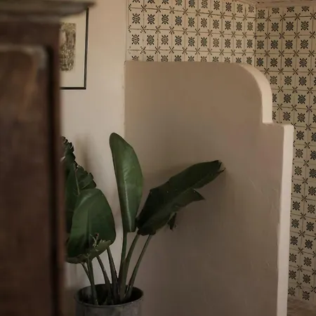 Maison Sur Coline Lectoure